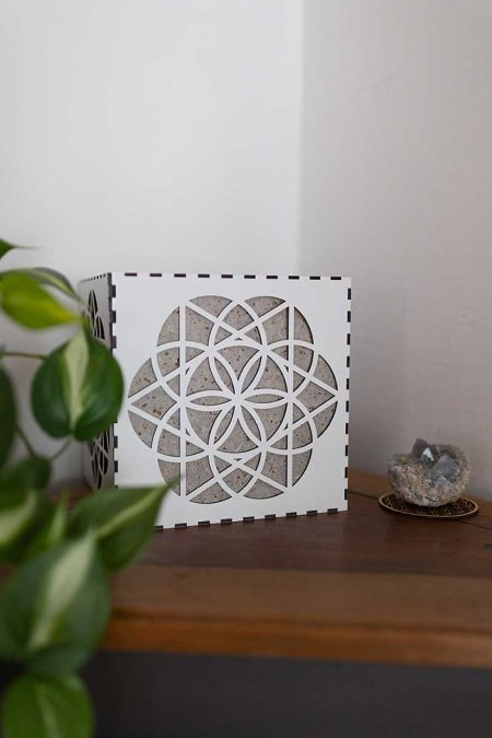 lampe de face avec plante