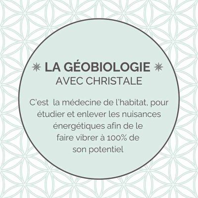 présentation géobiologie