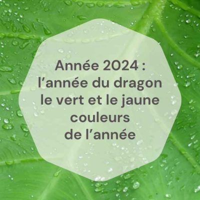 Carré vert année 2024